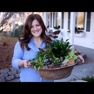 Houseplant Garden w/ a Water Feature!