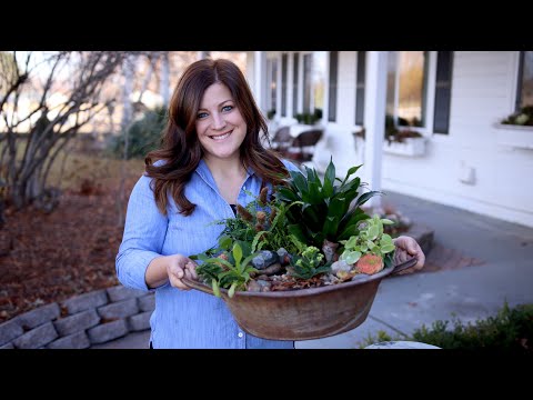Houseplant Garden w/ a Water Feature!
