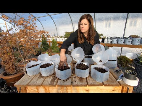Planting More Flower Seeds (18 Different Varieties)!