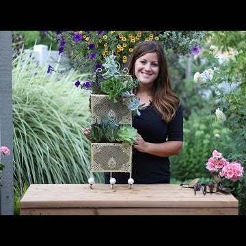 Repurposed: Letter Holder Made Succulent Planter