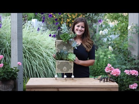 Repurposed: Letter Holder Made Succulent Planter