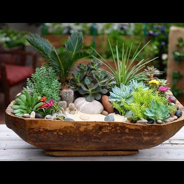 Antique Dough Bowl Turned Succulent Planter