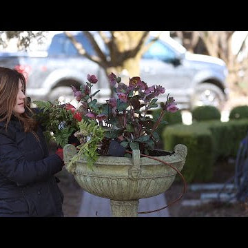 Early Spring Flower Planting!
