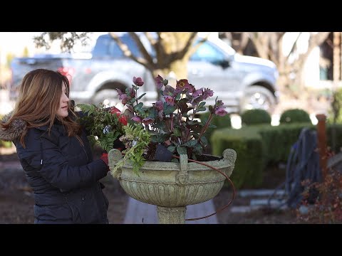 Early Spring Flower Planting!
