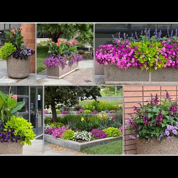 One Month Update Tour of the College Plantings!