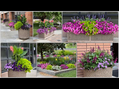 One Month Update Tour of the College Plantings!