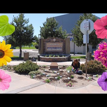 Planting Low Maintenance/High Impact Plants at Our Local Community College!