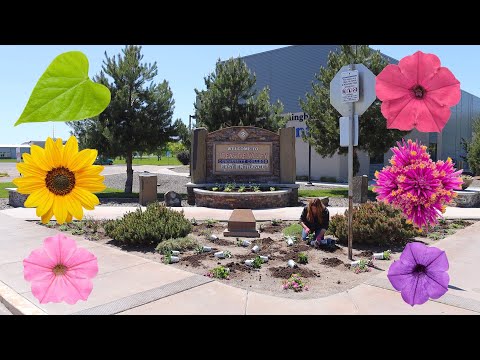Planting Low Maintenance/High Impact Plants at Our Local Community College!