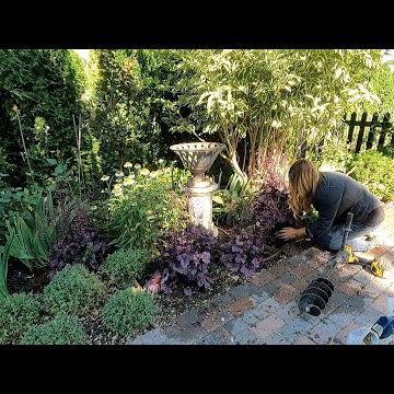 Freshening Up a Perennial Bed & Planting Lots of Veronica!