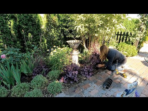 Freshening Up a Perennial Bed & Planting Lots of Veronica!