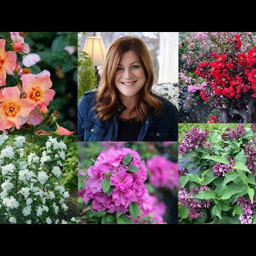 New Shrubs for 2021! (Part 2)