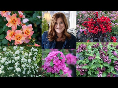 New Shrubs for 2021! (Part 2)