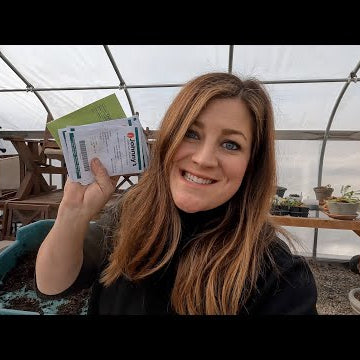 Planting Snapdragon Seeds!