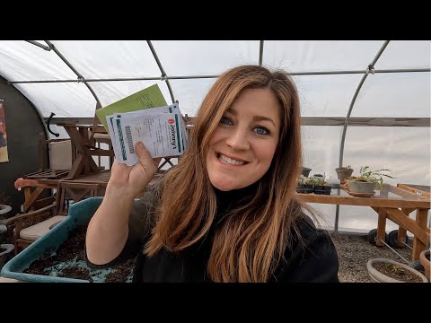 Planting Snapdragon Seeds!
