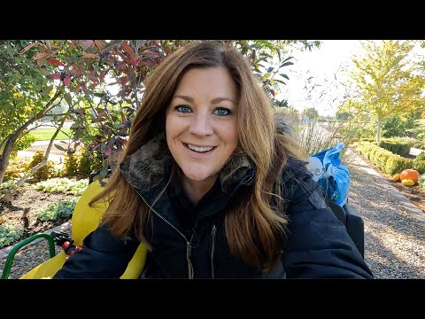 Planting for Fall Interest!
