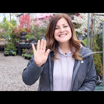 Tour of My Family's Garden Center