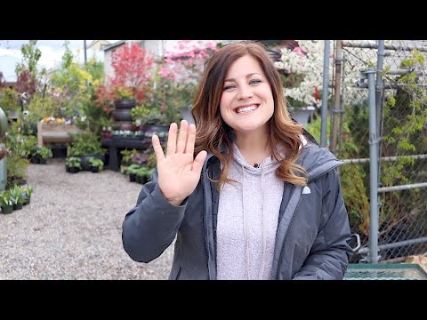 Tour of My Family's Garden Center