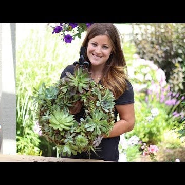 How to Make a Succulent Wreath