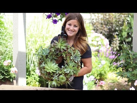 How to Make a Succulent Wreath