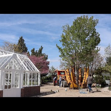 Installing 3 MASSIVE Trees in Our Garden!
