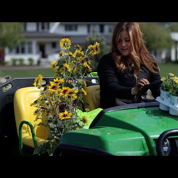 Planting Full Sun Containers with Beautiful Brand New Annual Varieties!