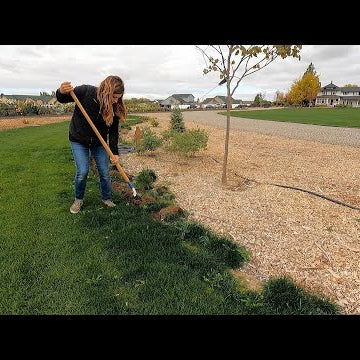 Finally Edging the Grass in the South Garden!