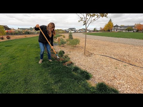 Finally Edging the Grass in the South Garden!