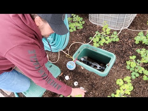 Setting Up Our Window Boxes on Drip Irrigation!