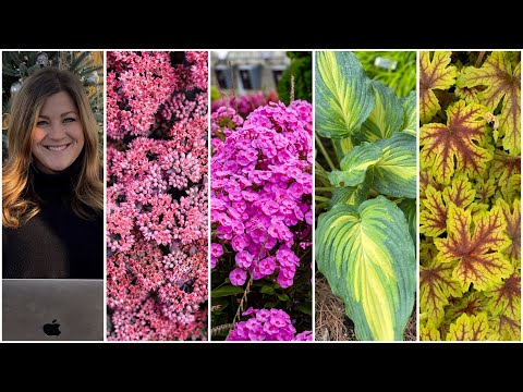 New Perennials for 2024!