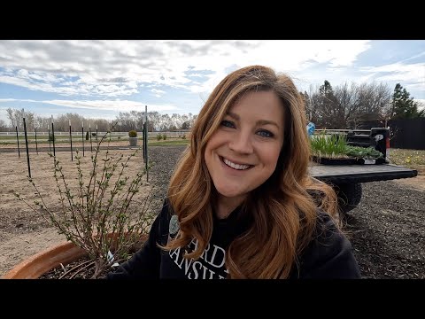 Planting Grapes, Onions & Cabbage (+ Honeyberry Update)!