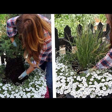 How to Replace a Dying Centerpiece in a Container