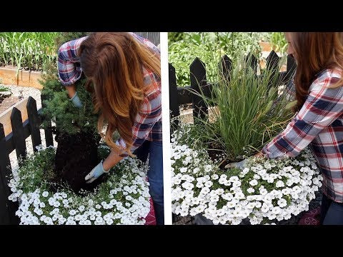 How to Replace a Dying Centerpiece in a Container