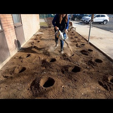Planting a Ton of Roses at Our Community College & at Home!