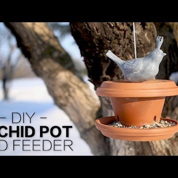 DIY Orchid Pot Bird Feeder