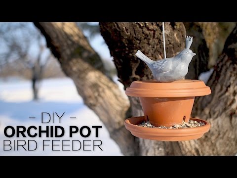 DIY Orchid Pot Bird Feeder