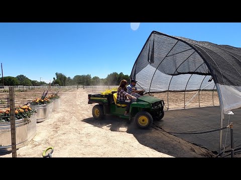 Tour of Our New High Tunnel!