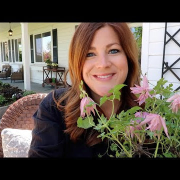 Planting 3 Gorgeous Clematis!