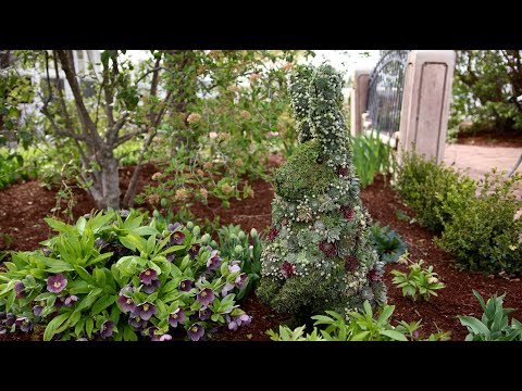 Succulent Topiary Bunny!!!