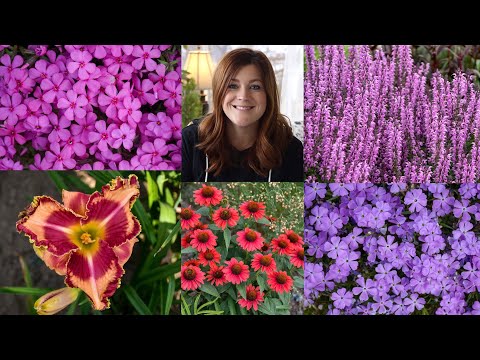 New Perennials for 2021!