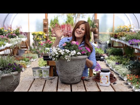 Flower Alley Part 2: Simple Container Ideas for Full Sun!