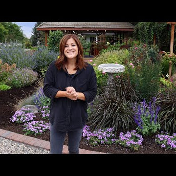 Mini Garden Tour Behind our Gazebo