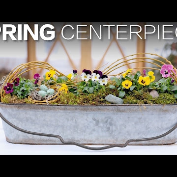 Spring Centerpiece