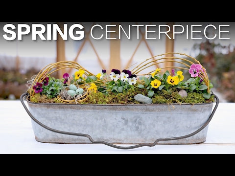Spring Centerpiece