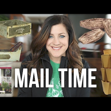Mail Time + Q&A