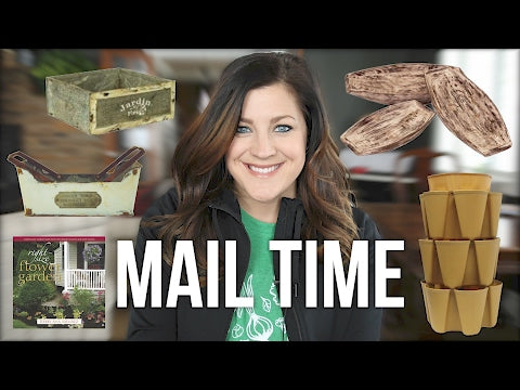 Mail Time + Q&A