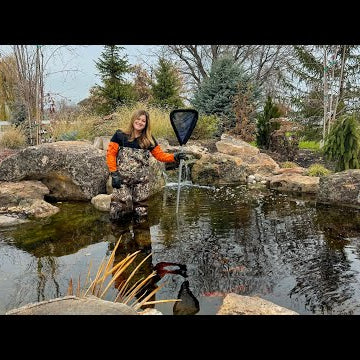 Pond Maintenance + Prepping a Tropical Waterlily for Winter Storage!