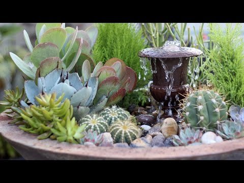 Succulent Fountain Arrangement - Triple Urn Challenge November