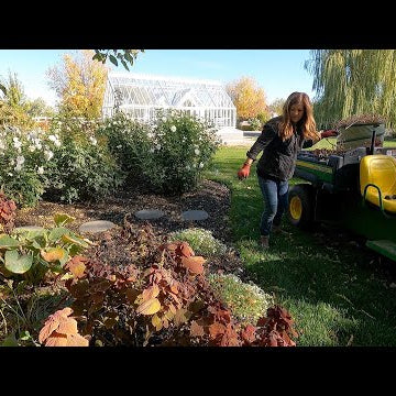 Starting Fall Flower Bed Cleanup!