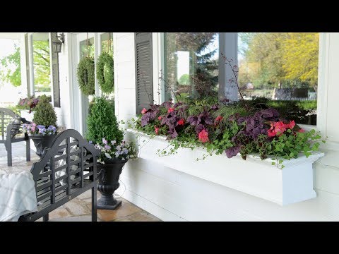 Planting Shade-Loving Plants in My Window Boxes!