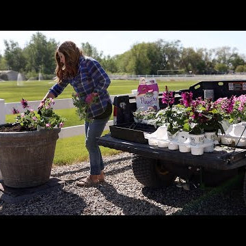 Planting 14 Pots Along Our Fence! Super Excited about This Recipe!